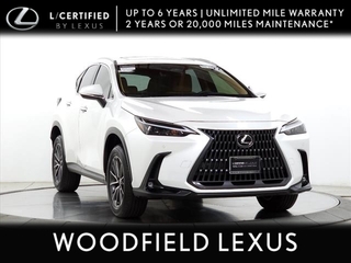2022 Lexus NX 250 for sale in Schaumburg IL