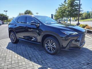 2024 Lexus NX 350 for sale in Nashville TN