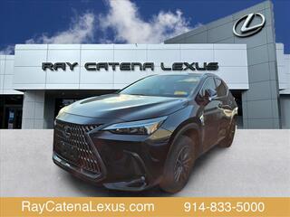 2022 Lexus NX 350 for sale in Larchmont NY