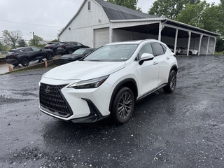 2022 Lexus NX 350