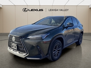 2022 Lexus NX 350 for sale in Allentown PA