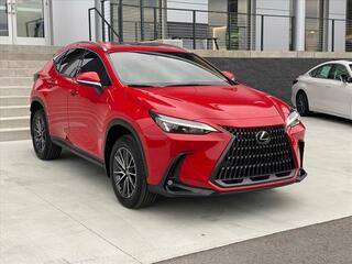 2024 Lexus NX 350 for sale in Chattanooga TN