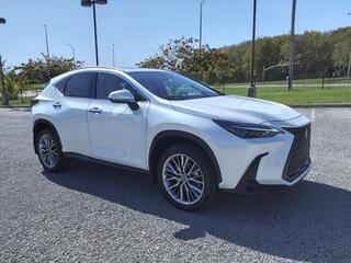 2025 Lexus NX 350 for sale in Nashville TN