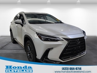 2023 Lexus NX 350 for sale in Cleveland TN