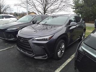 2022 Lexus NX 350 for sale in Toledo OH