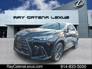 2024 Lexus NX 350 for sale in Larchmont NY