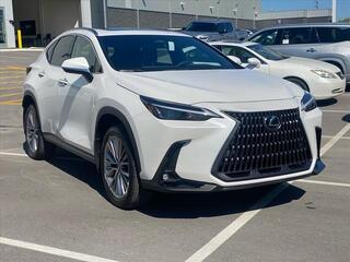 2025 Lexus NX 350 for sale in Chattanooga TN