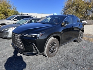 2022 Lexus NX 350 for sale in Allentown PA