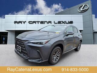 2022 Lexus NX 350 for sale in Larchmont NY