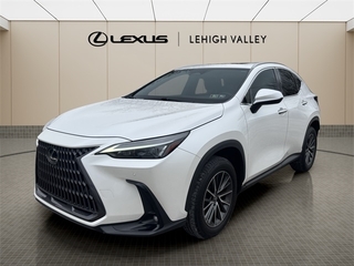 2023 Lexus NX 350 for sale in Allentown PA