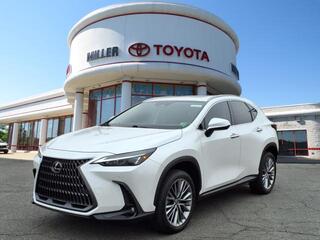 2022 Lexus NX 350 for sale in Manassas VA