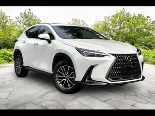 2024 Lexus NX 350 for sale in Freehold NJ