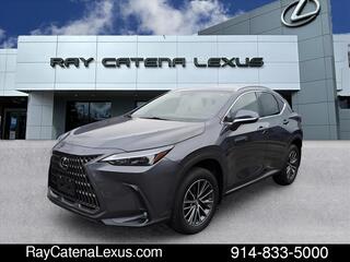 2024 Lexus NX 350 for sale in Larchmont NY
