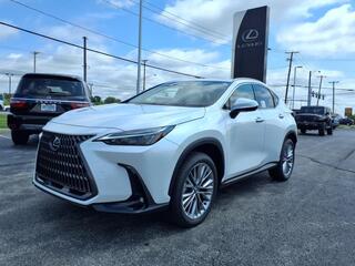 2025 Lexus NX 350 for sale in Toledo OH