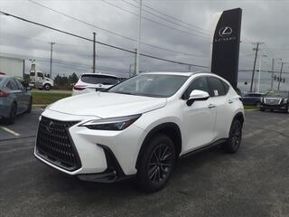 2025 Lexus NX 350 for sale in Toledo OH