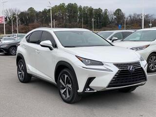 2020 Lexus NX 300h for sale in Chattanooga TN