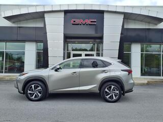 2021 Lexus NX 300h