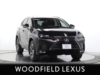 2020 Lexus NX 300h