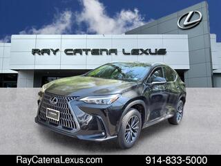 2022 Lexus NX 350h for sale in Larchmont NY
