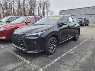 2024 Lexus NX 350h for sale in Toledo OH