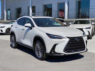 2025 Lexus NX 350h for sale in Chattanooga TN