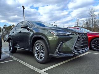 2025 Lexus NX 350h for sale in Durham NC