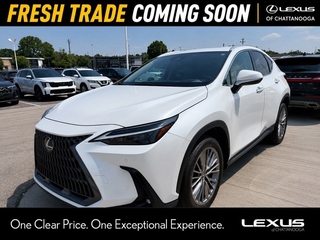 2025 Lexus NX 350h for sale in Chattanooga TN
