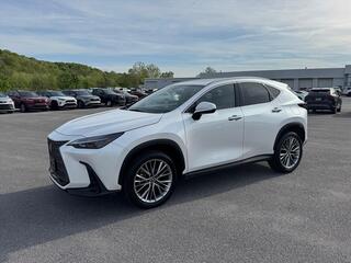 2023 Lexus NX 350h