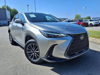 2025 Lexus NX 350h for sale in Clarksville TN