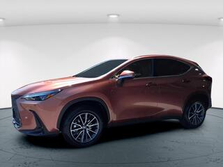 2025 Lexus NX 350h