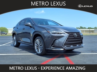 2025 Lexus NX 350h