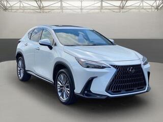 2022 Lexus NX 350h for sale in Chattanooga TN