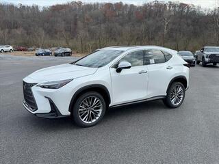 2025 Lexus NX 350h