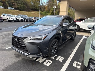2025 Lexus NX 350h