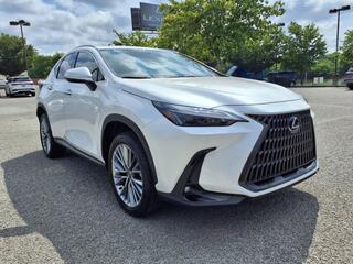 2025 Lexus NX 350h for sale in Nashville TN