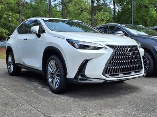 2025 Lexus NX 350h for sale in Durham NC