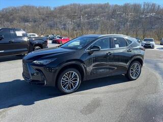 2025 Lexus NX 350h for sale in Kingsport TN