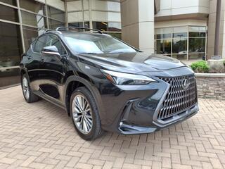 2025 Lexus NX 350h for sale in Nashville TN
