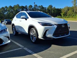 2025 Lexus NX 350h for sale in Durham NC