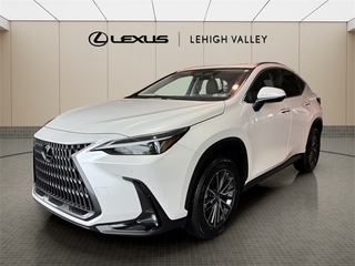 2025 Lexus NX 350h for sale in Allentown PA