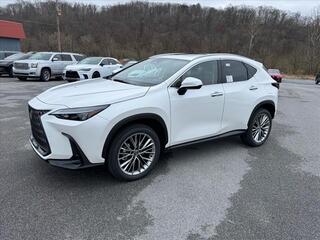 2025 Lexus NX 350h for sale in Bristol TN