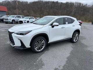 2025 Lexus NX 350h for sale in Kingsport TN