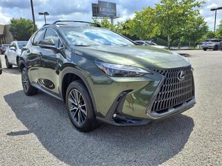 2025 Lexus NX 350h for sale in Nashville TN