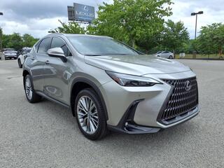 2025 Lexus NX 350h for sale in Nashville TN