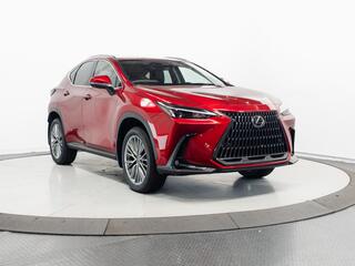 2026 Lexus NX 350h for sale in Schaumburg IL