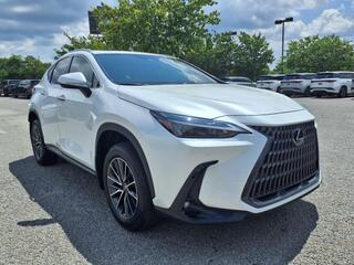 2025 Lexus NX 350h for sale in Nashville TN