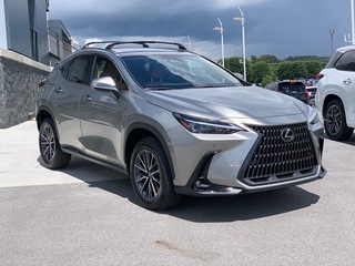 2025 Lexus NX 350h for sale in Chattanooga TN