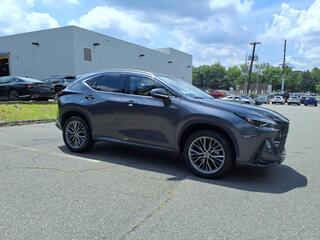2022 Lexus NX 350 for sale in Little Falls NJ
