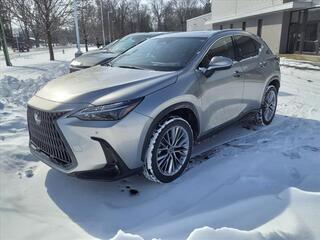 2022 Lexus NX 350 for sale in Toledo OH