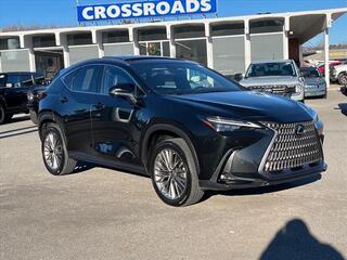 2022 Lexus NX 350